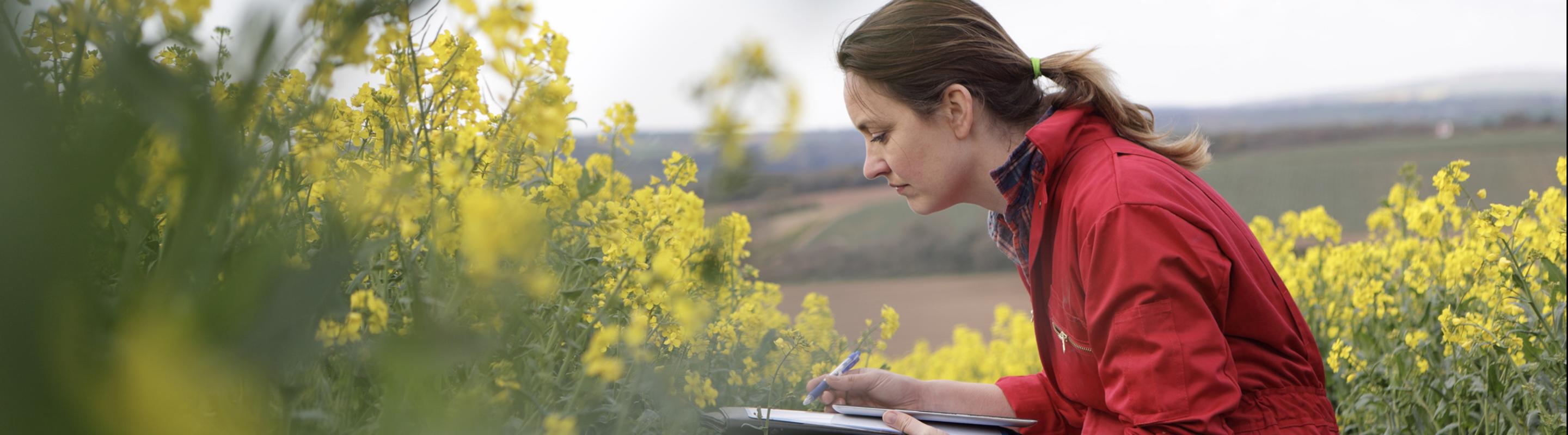 Industrial & Agricultural Innovation