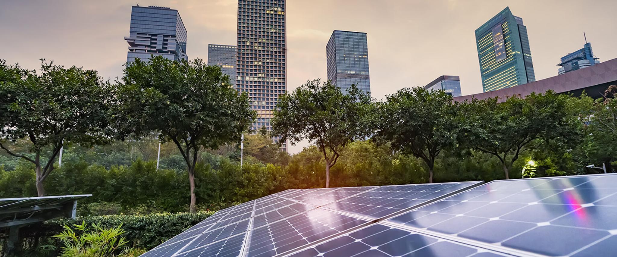 Solar Panel Project Showcase
