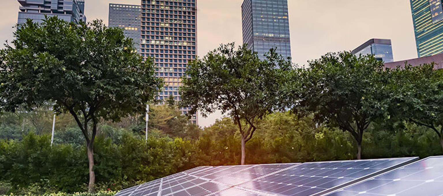 Solar Panel Project Showcase