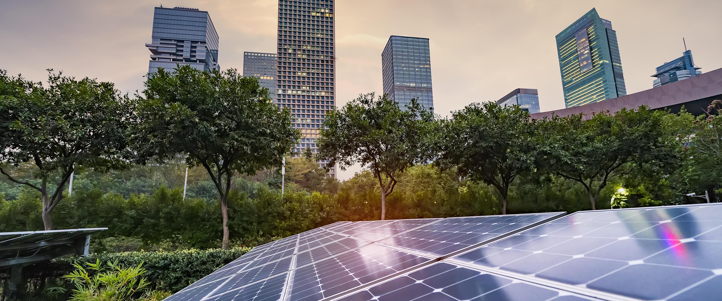 Solar Panel Project Showcase