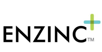 Enzinc Inc