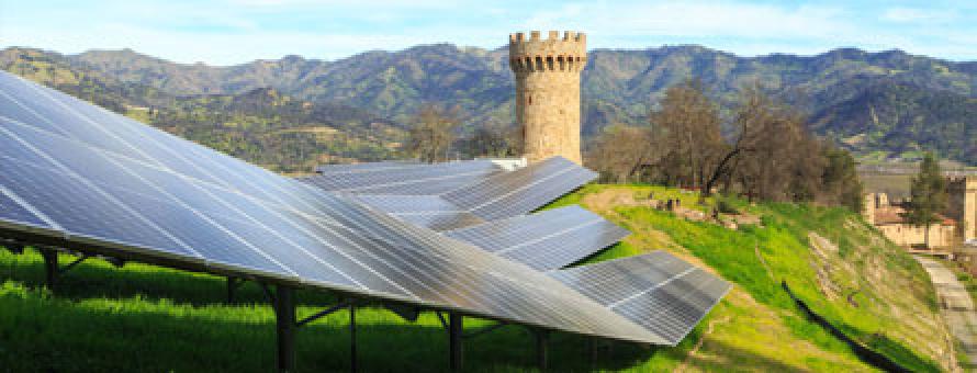 1,232 solar panels installed in January 2022 on the slope above the Castello di Amorosa winery