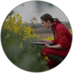 Agricultural Observation