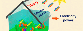 "Smart Greenhouse": Integrated Photovoltaics/Photosynthesis for Energy and Food