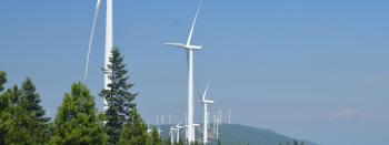 Hatchet Ridge Wind where the StrikeFree bat deterence system was tested