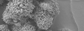 lithium manganese oxide