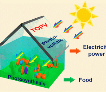 "Smart Greenhouse": Integrated Photovoltaics/Photosynthesis for Energy and Food