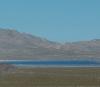 Some birds may perceive solar energy facilities as water bodies