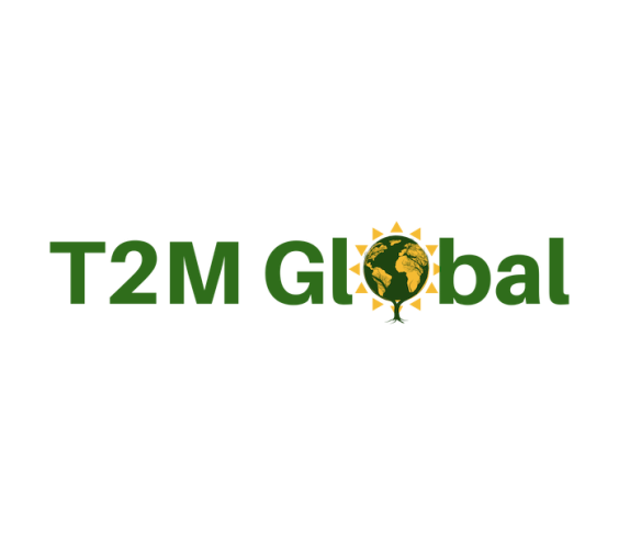 T2M Global logo