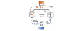 Ionocaloric Cycle 