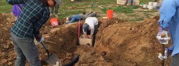 Constructing artificial owl burrows